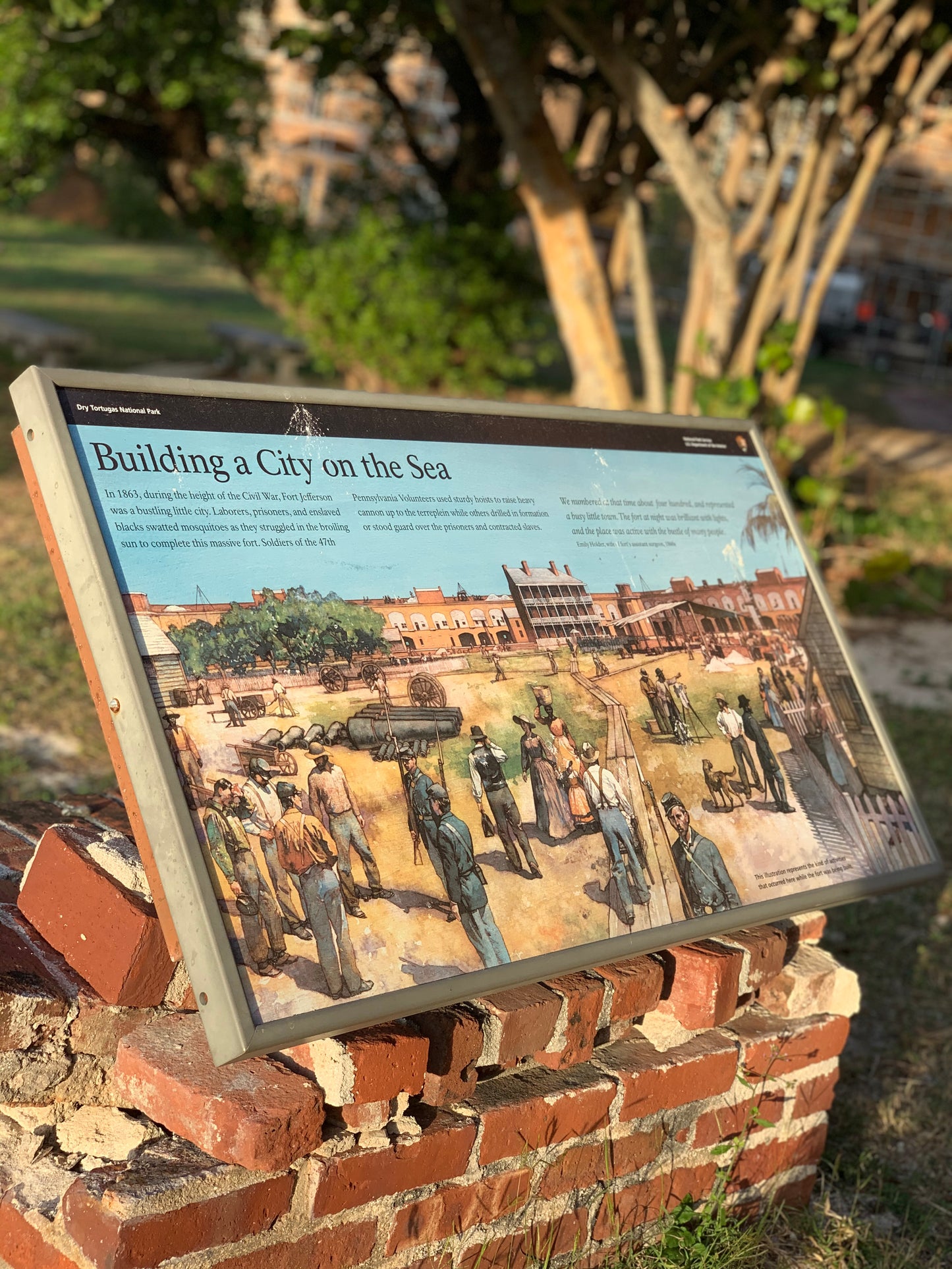 One day Trip to Dry Tortugas good for 1-6 people