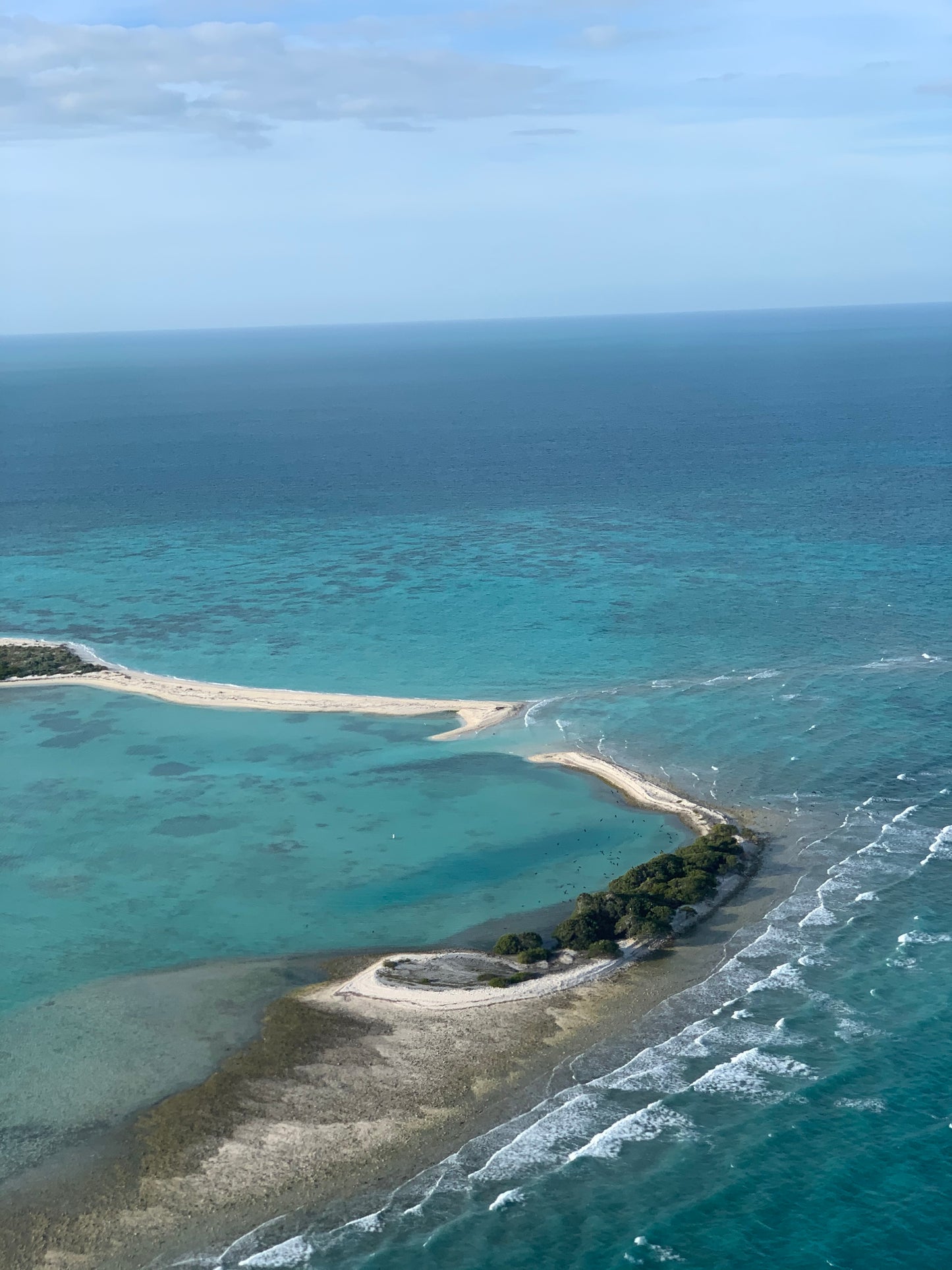 One day Trip to Dry Tortugas good for 1-6 people