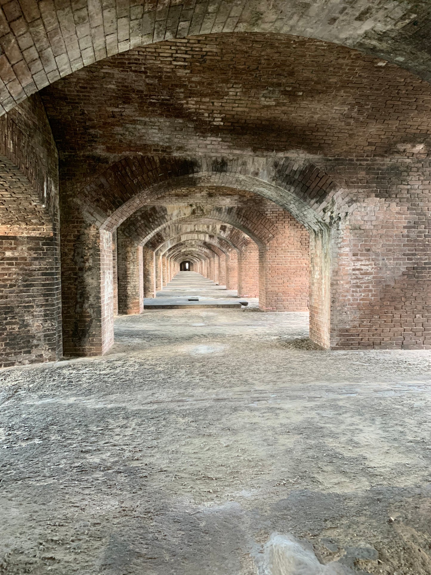 One day Trip to Dry Tortugas good for 1-6 people