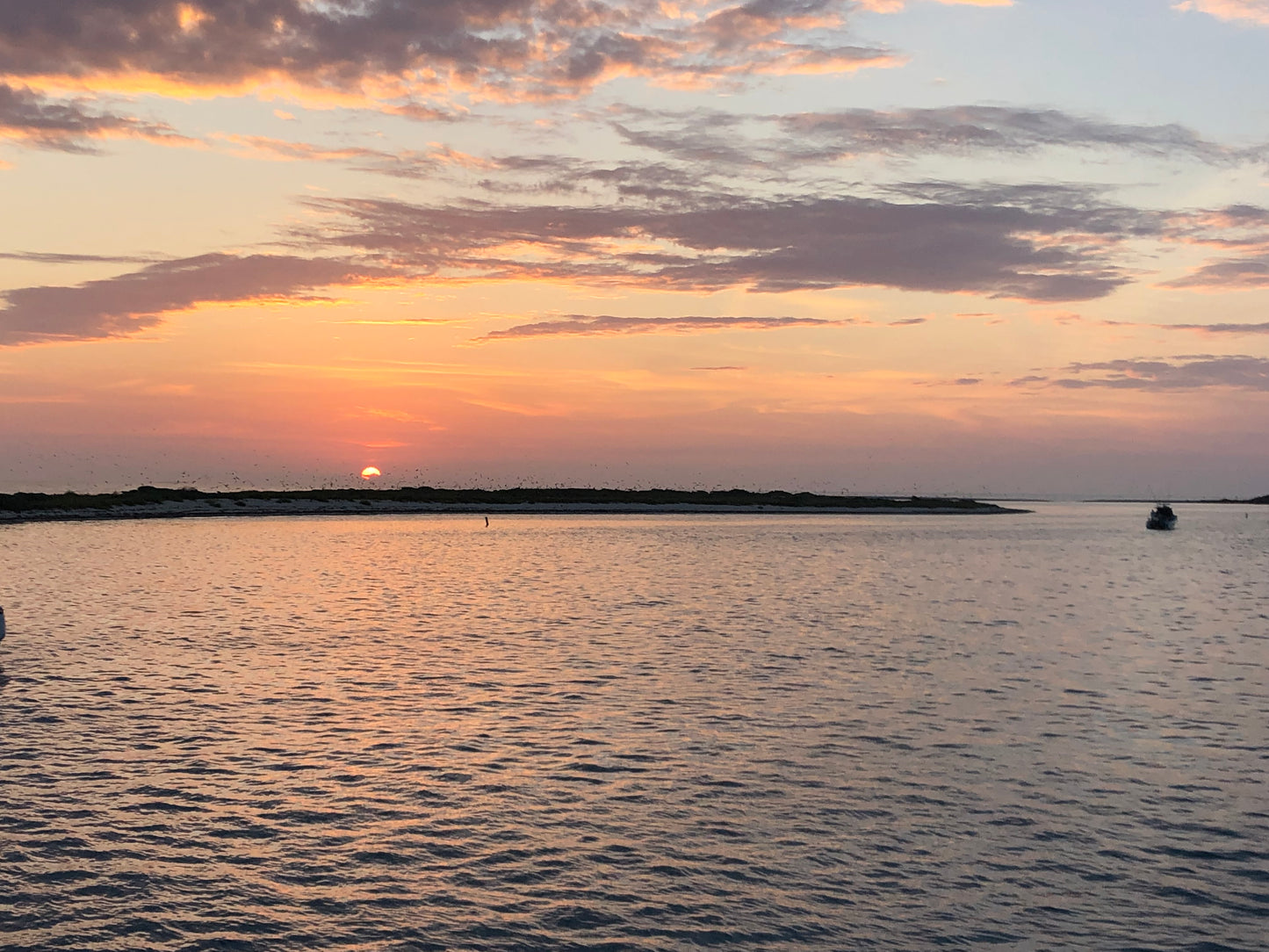 One day Trip to Dry Tortugas good for 1-6 people