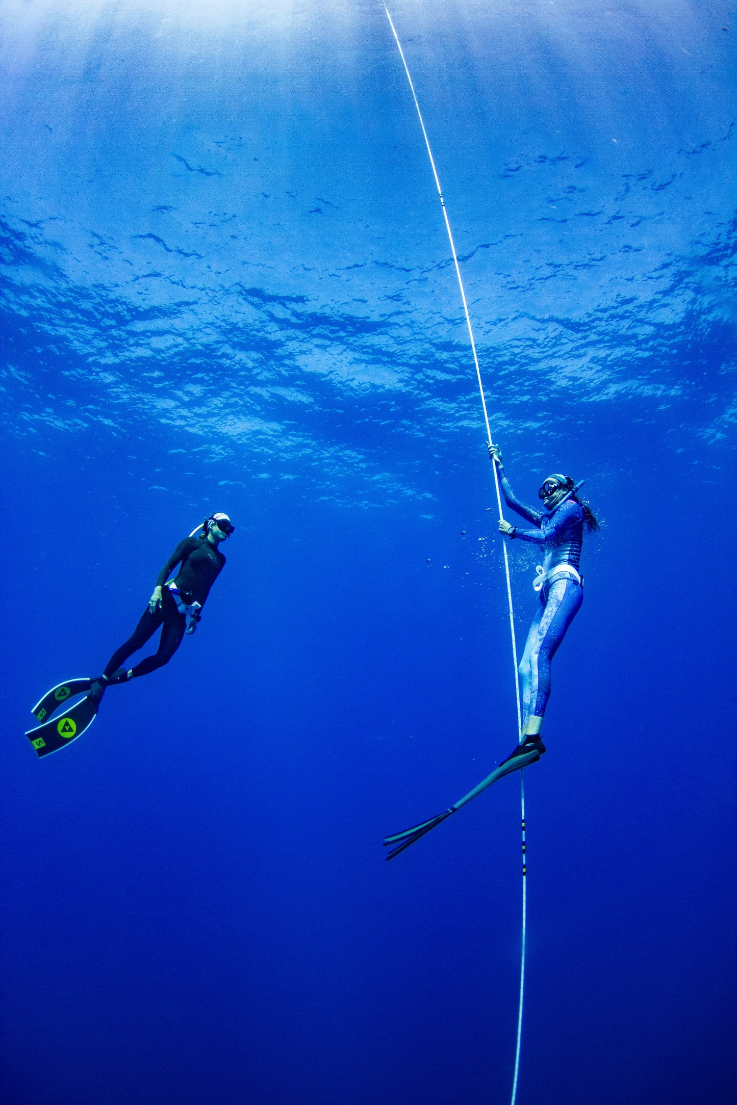 Freediving Certification Course Fii Level 1