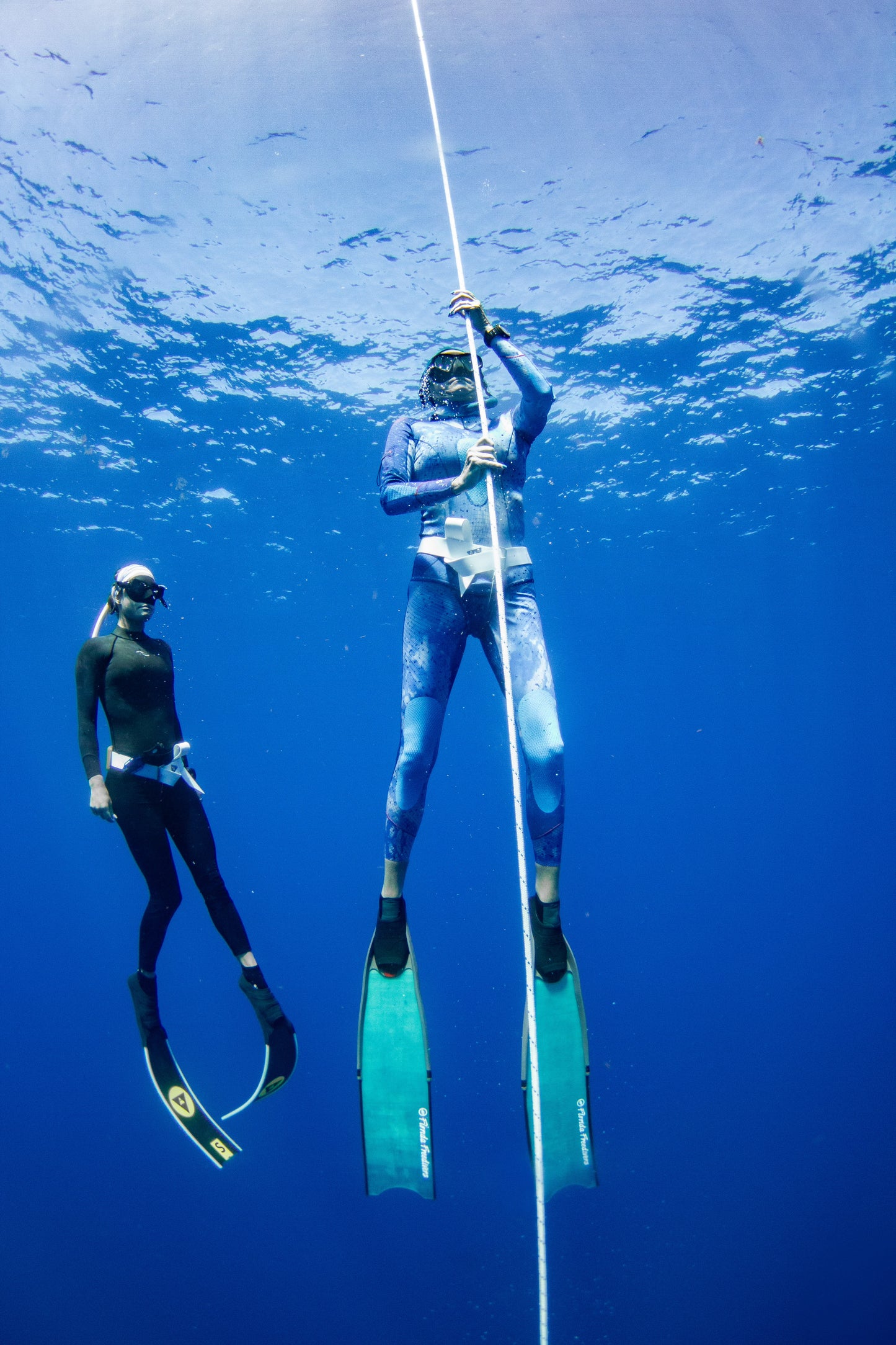 Freediving Certification Course Fii Level 1