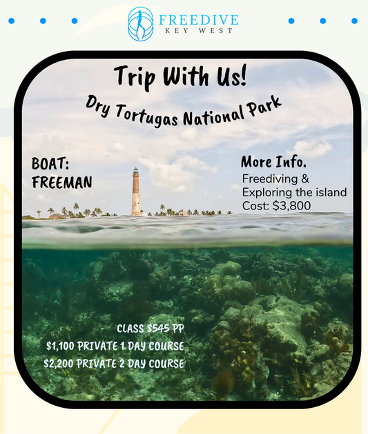 One day Trip to Dry Tortugas good for 1-6 people